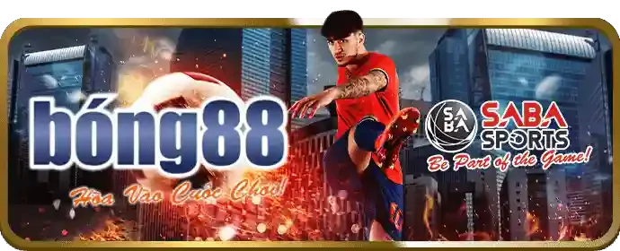 Các phiếu cược thể thao với tỷ lệ kèo và công cụ phân tích